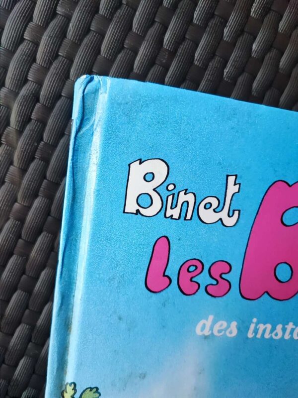 Les Bidochon - T14 - Des instants inoubliables