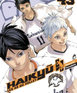 Vol.43 Haikyu !! - Les as du volley ball