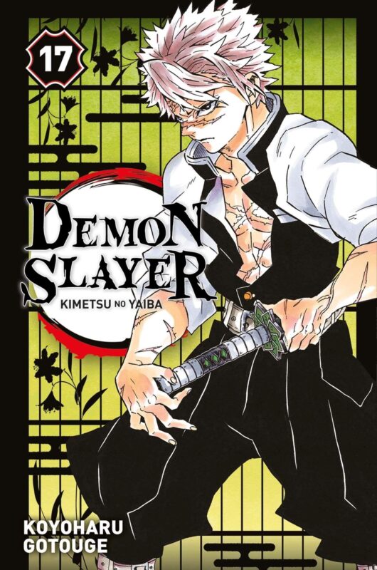 Vol.17 Demon Slayer