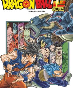 Vol.13 Dragon Ball Super