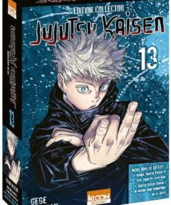 Vol.13 Jujutsu Kaisen - Prestige