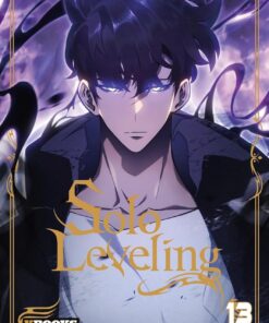 Vol.13 Solo Leveling