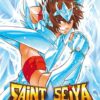 Vol.16 Saint Seiya - The Lost Canvas - Chronicles