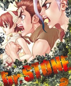 Vol.2 Dr Stone