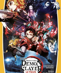 Vol.3 Demon Slayer - Roman jeunesse