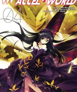 Vol.4 Accel world