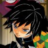 Vol.1 Demon Slayer - Collector