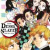 Vol.1 Demon Slayer - Roman jeunesse