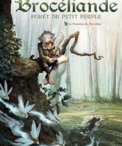 Broceliande T01 - La Fontaine de Barenton