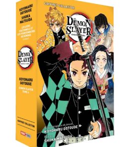 Demon Slayer - Roman jeunesse - Coffret