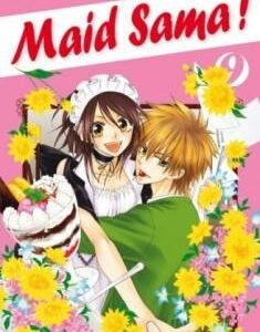 Vol.9 Maid Sama