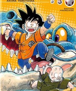 Vol.9 Dragon ball - Double (Les saïyens)