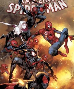 Amazing Spider-Man T02 (Now!) : Spider-Verse