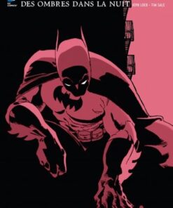 BATMAN DES OMBRES DANS LA NUIT - Tome 0