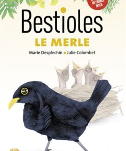 Bestioles - Le Merle