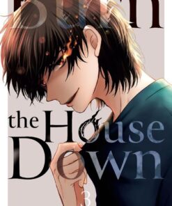 Burn the House Down - Tome 3 (VF)