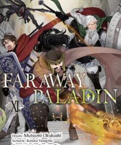 Faraway paladin T11