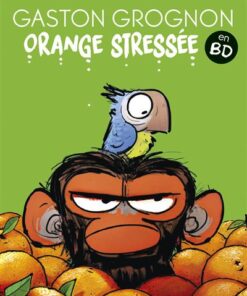 Gaston Grognon en BD - Orange Stressée