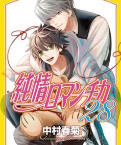 Junjo Romantica Tome 28