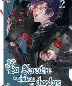 La sorcière du château aux chardons - Tome 2