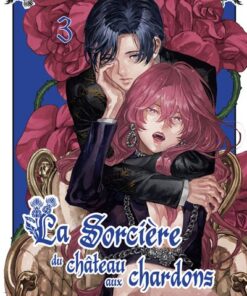 La sorcière du château aux chardons - Tome 3