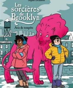 Les sorcières de Brooklyn, Tome 02