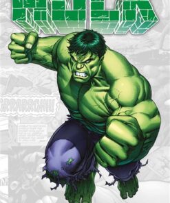 Marvel-Verse : Hulk