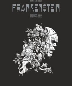 Mary Shelley Frankenstein