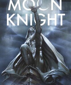 Moon Knight : Au bout du rouleau