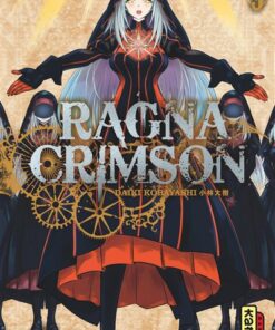 Ragna Crimson - Tome 9