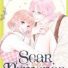 Scar and Romance T04