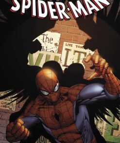 Spider-Man : Naviguer à vue