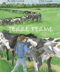 Terre ferme