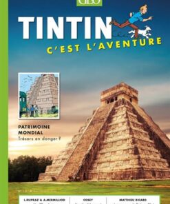 Tintin - C'est l'aventure 12