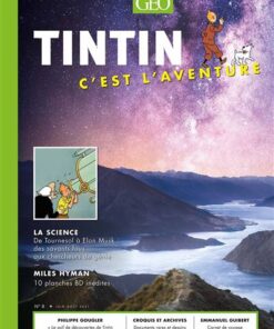 Tintin - C'est l'aventure 8