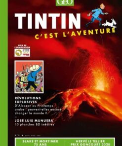 Tintin - C'est l'aventure 9