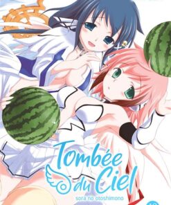 Tombée du Ciel - Tome 12