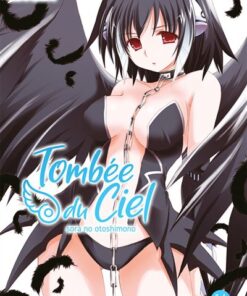 Tombée du Ciel - Tome 14