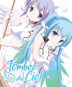 Tombée du Ciel - Tome 13