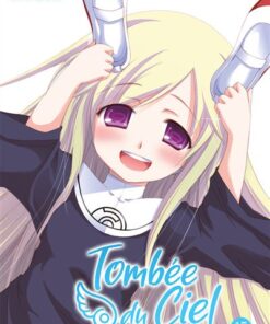 Tombée du Ciel - Tome 15