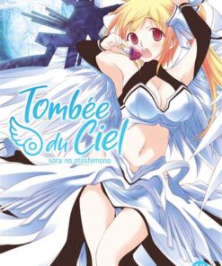 Tombée du Ciel - Tome 19