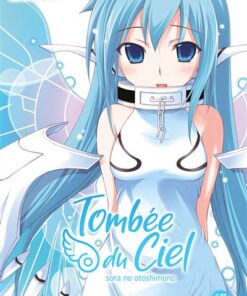 Tombée du Ciel - Tome 17