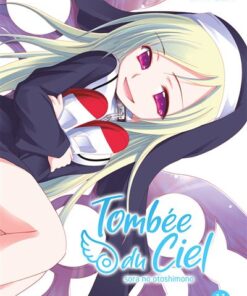 Tombée du Ciel - Tome 11