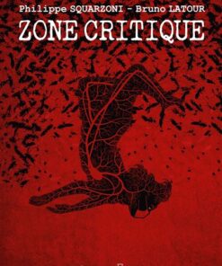 Zone critique