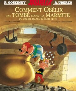 Astérix - Album illustré - Comment Obélix est tombé dans la marmite quand il était petit - HC