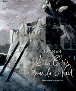 BATMAN DES CRIS DANS LA NUIT - Tome 0