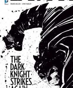 Batman : Dark Knight Strikes again - Tome 0