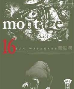 Montage - Tome 16