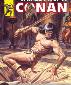 Savage Sword of Conan T04