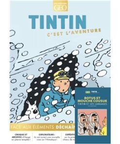 Tintin c'est l'aventure 22